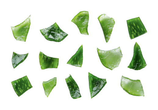 Fresh aloe vera leaves arranged thoughtfully on a clean background for wellness and skincare purposes, cut out