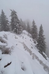 Person skiing on snow-covered mountain