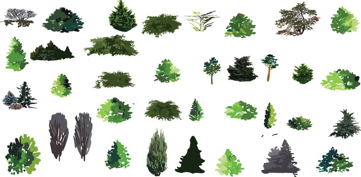 bush, shurb watercolor vector illustration, Minimal style tree painting hand drawn