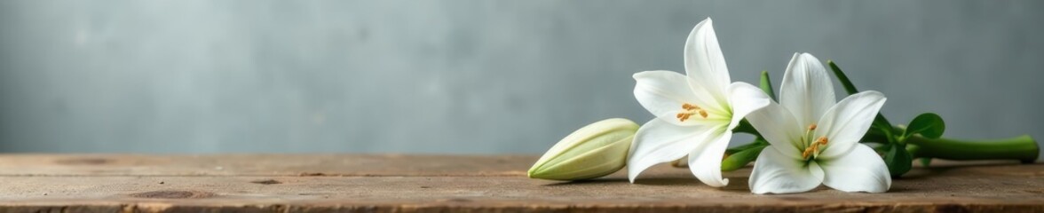 Fototapeta premium White lily branches on a wooden table against a cold grey wall, flowers, natural, wood