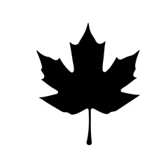 Adobe I Leaf silhouette vector icon sign symbol illustration design. Artwork