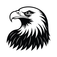 american bald eagle