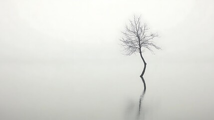 Obraz premium A lonely bare tree standing in the water and its reflection