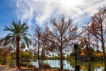 A gorgeous landscape at the Phoenix Zoo with a lake surrounded by lush green trees and plants in Phoenix Arizona USA