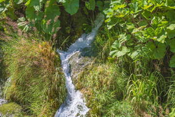 small stream flows downhill