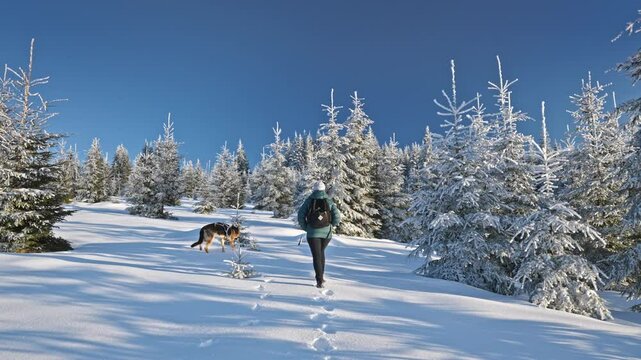 Girl with dog walking through snow among trees covered snow. Winter hike in mountains. Adventures in mountains.