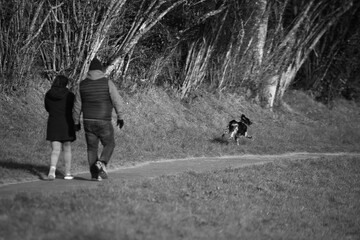 autour du lac N & B  01 2025