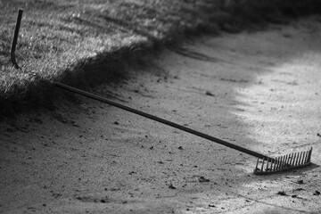 autour du lac N & B  01 2025