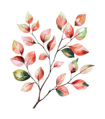 Featured watercolor leaves in warm red and green tones for seasonal decor and design projects focusing on nature themes, cut out