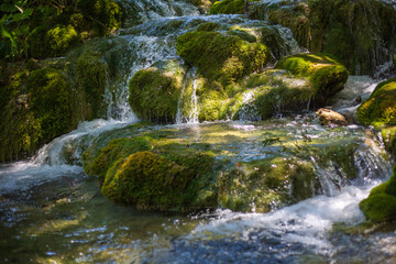  wasser steine und moos