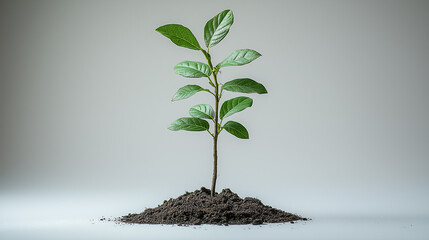 a sapling growing out of soil background for environment, generative ai