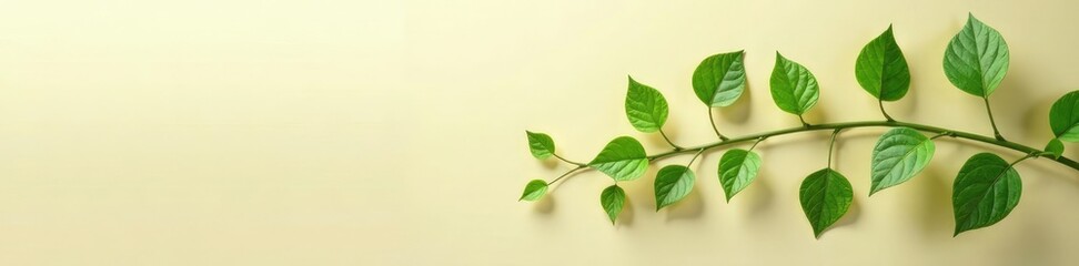 Obraz premium Glassy vine with green leaves on a natural beige gradient background, plant-themed decor, nature-inspired decor