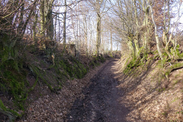 hohlweg