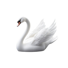 Graceful swan displaying its feathers and poised neck, symbolizing beauty and elegance, highlighted against a transparent background