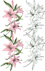 Fotobehang Tropische Bladeren  Vector border illustration of  pink Lily flowers and leaves. Hand drawn lines and flowers  for wedding decor, greeting cards, packading and prints.  © Юлия Лебедь