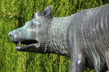 loba capitolina