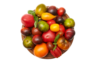 Multicolored tomatoes: red, yellow, orange, green on round wooden board on transparent background. Close-up view of the top