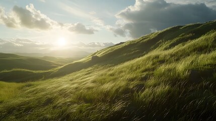 Fototapeta premium Sunlight Illuminates Lush Sweeping Grass on Rolling Hillside Serene Picturesque Countryside Landscape in Cinematic Style