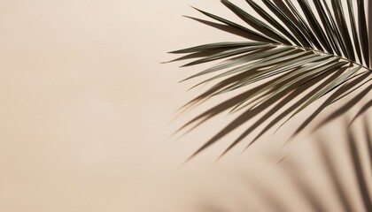 Obraz premium Minimalist palm frond shadows casting soft patterns over a warm beige backdrop