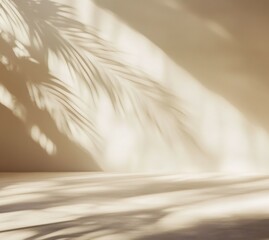 Obraz premium Shadow Play: A sun-drenched space, where shadows of palm fronds dance across a textured backdrop, infusing a sense of tranquility and natural elegance.