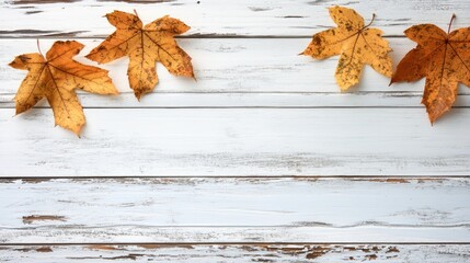 Obraz premium Autumn Maple Leaves on Rustic White Wood Background for Seasonal Decor