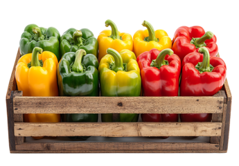 PNG Colorful Bell Peppers in Wooden Crate, white and transparent background.