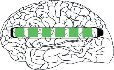 The image shows a black and white illustration of the brain with a horizontal progress bar partially filled with green.