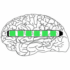 The image shows a black and white illustration of the brain with a horizontal progress bar filled in green.