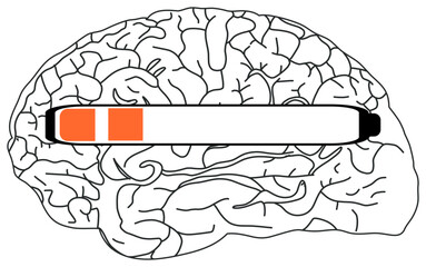 
The sticker image shows a black and white illustration of a brain with a horizontal progress bar partially filled in orange.