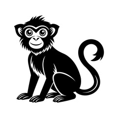 vector illustration of a monkey