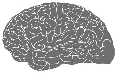The image depicts a stylized, monochrome brain illustration in gray with white contour lines outlining its structure.