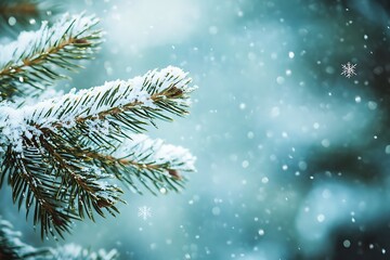 Wintery Pine Branches Covered in Snow