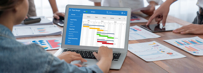 Project planning software for brisk business project management on the computer screen showing...