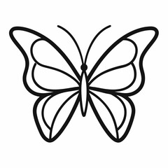 black and white butterfly