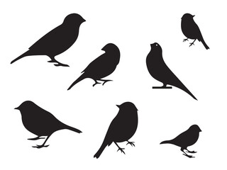 Flying birds silhouettes on white background. Vector illustration. isolated bird flying and Birds silhouettes collection
