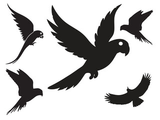 Parrot Flying birds silhouettes on white background. Vector illustration. isolated bird flying and Birds silhouettes collection