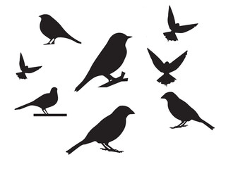  Birds silhouettes on white background. Vector illustration. isolated bird flying and Birds silhouettes collection