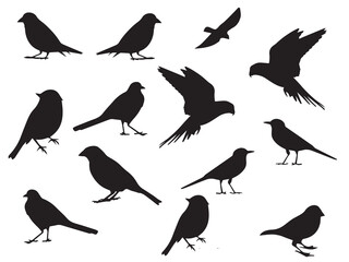 Birds silhouettes on white background. Vector illustration. isolated bird flying and Birds silhouettes collection
