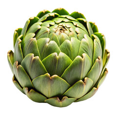Fototapeta premium Artichoke isolated on white background 