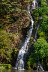 Close-up of waterfall with autumn foliage