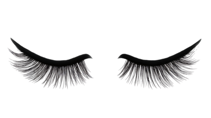 Black false eyelashes, on a transparent background. high resolution PNG file