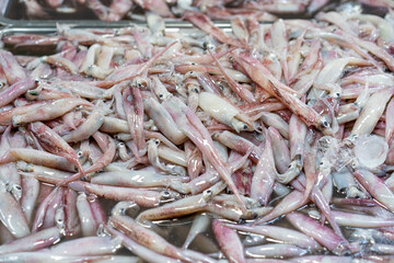 A mass of raw squid floats in shallow water, their pale pink and white bodies glistening under soft light.