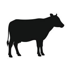 black silhouette of a cow
