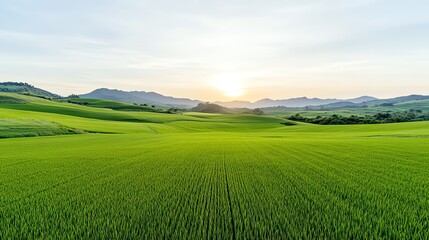 Obraz premium A serene sunrise over lush green fields and distant mountains, capturing the tranquility of a rural landscape.