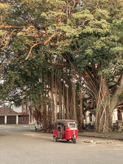 Traditional transport of Sri Lanka Tuktuk taxi