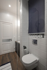 Toilet bowl in the bathroom interior