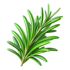 Vibrant 3D Rendering of Fresh Rosemary Sprig, green plant isolated on Transparent background