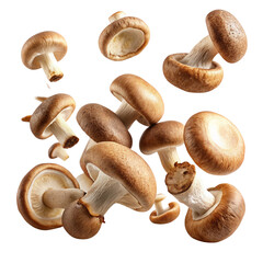 mushrooms isolated on white background