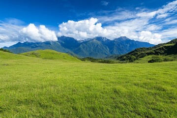 Fototapeta premium A lush green valley under a clear sky, representing a healthy climate and balanced ecosystem