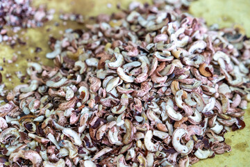 A scattered pile of cracked cashew shells reveals the rough, brown exteriors and hollowed interiors where the nuts once sat.